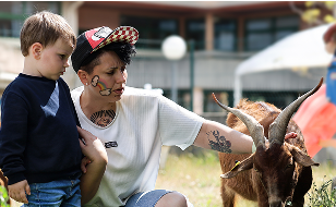 babyscovery synergie family