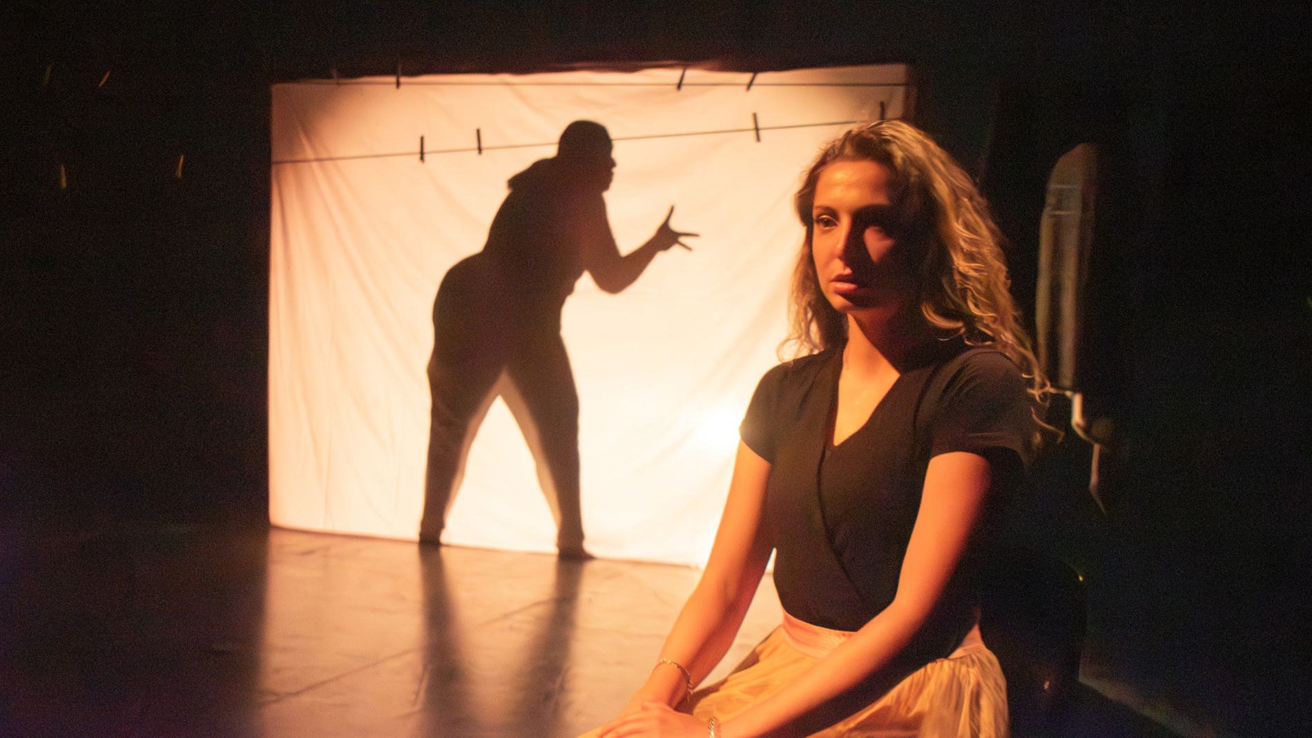 La Compagnie de l'Éclair — spectacle