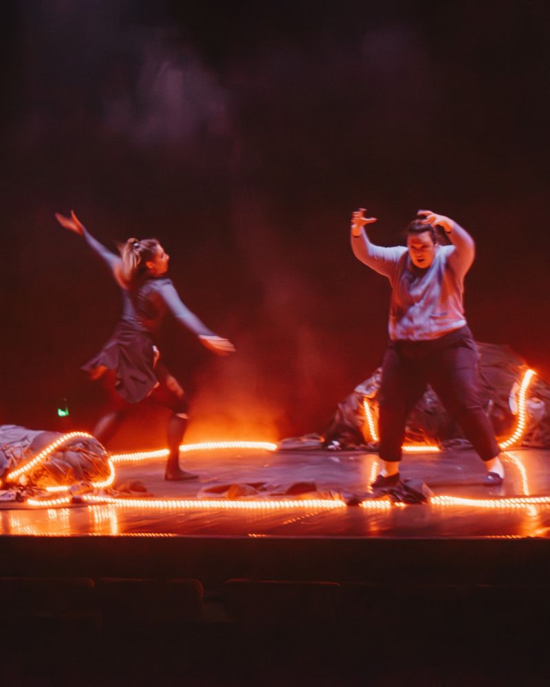La Compagnie de l'Éclair — spectacle