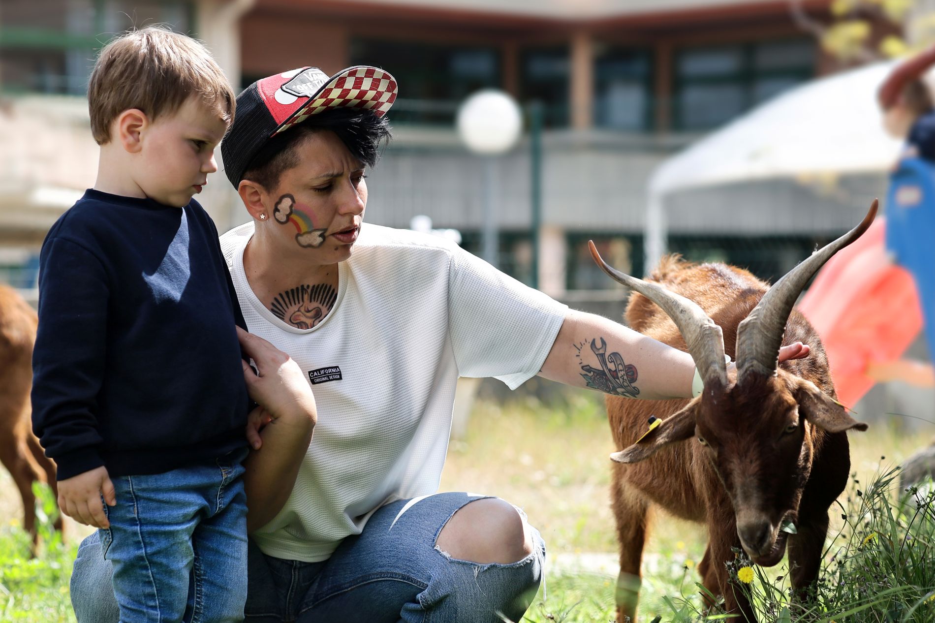 Équipes professionnelles formées