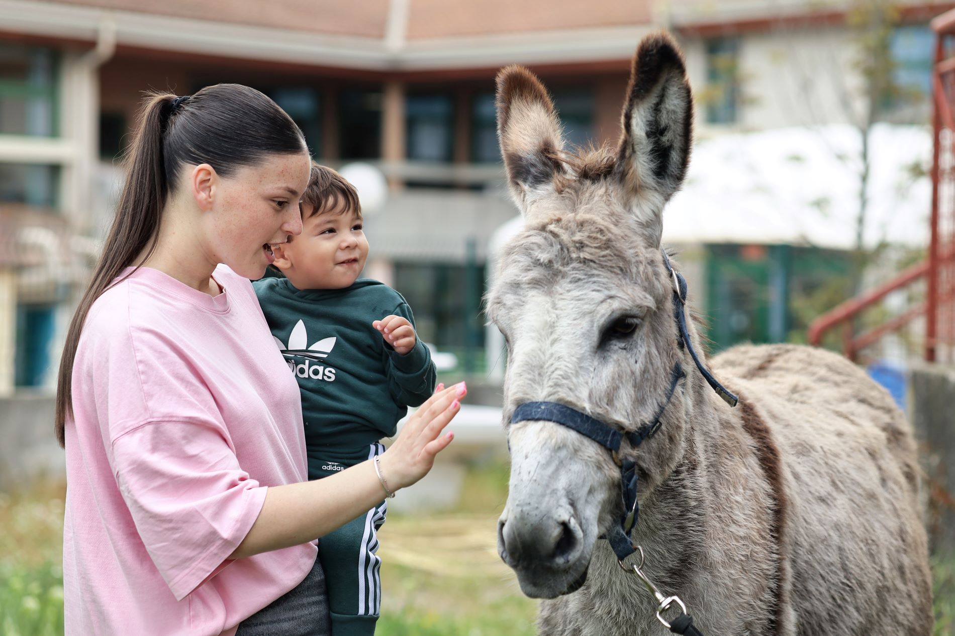 crèche associative Marseille - Synergie family