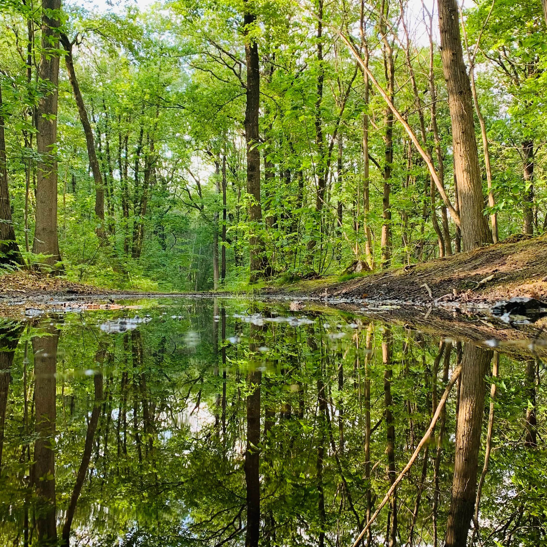 image carte synergie family